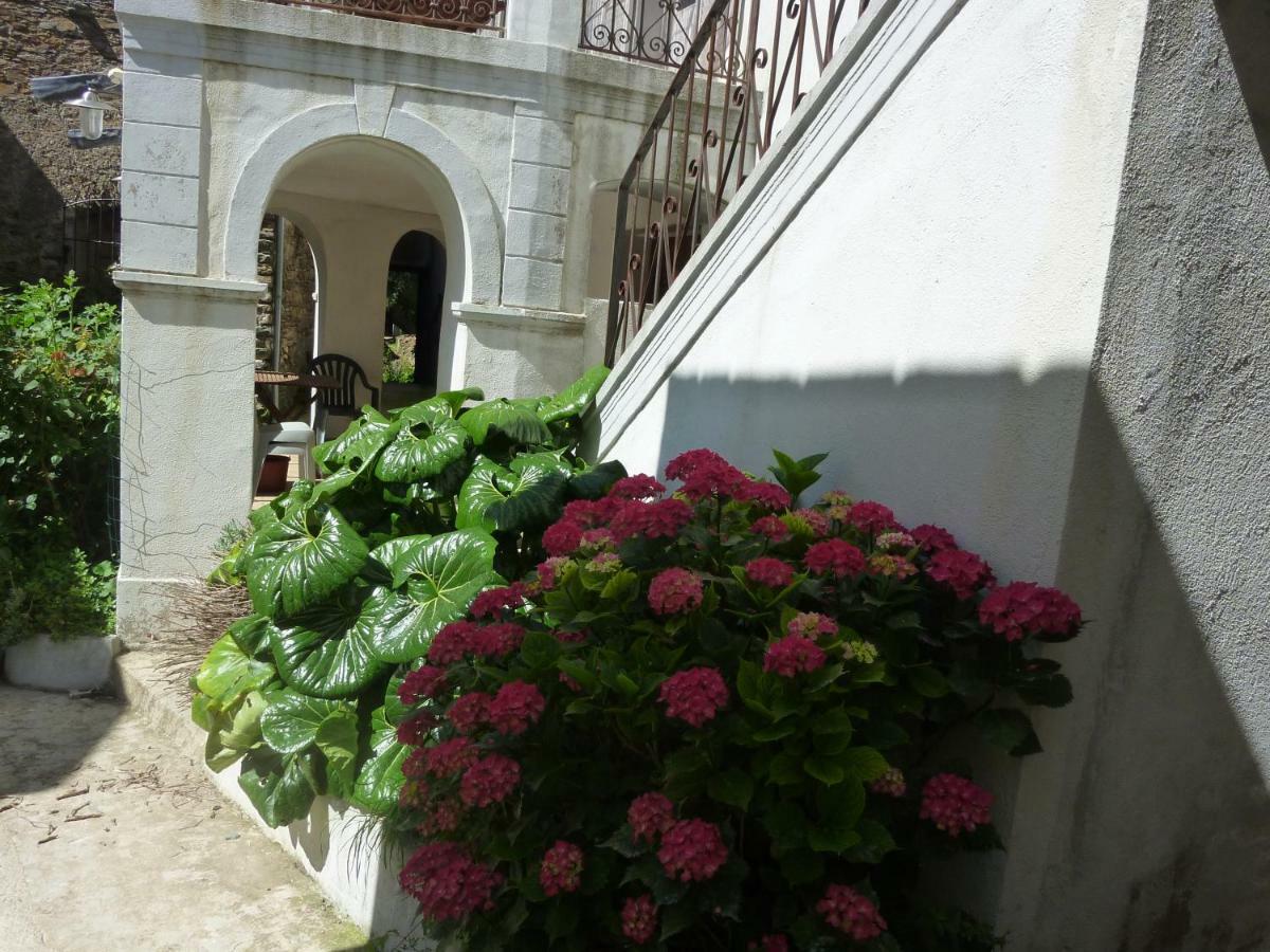 Casale Lucrezia Bed & Breakfast Cagnano Exterior photo